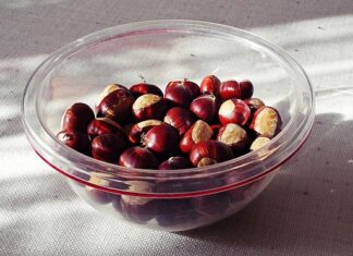 Co można zrobić z kasztanów dla dzieci?