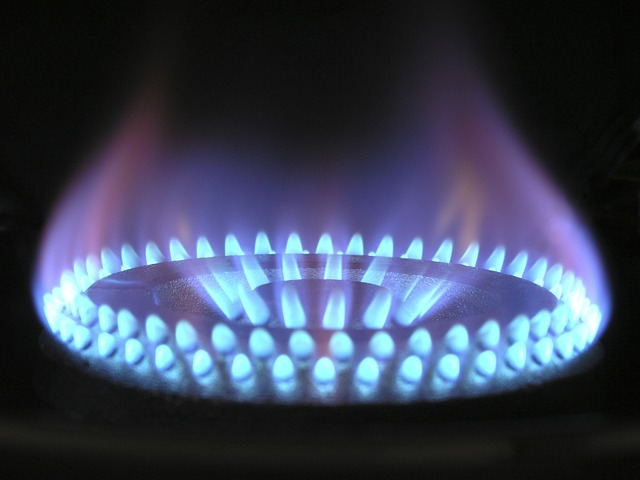 Jak zbudowany jest palnik gazowy?