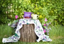 Konferencje i spotkania biznesowe w plenerze