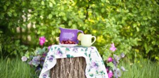 Konferencje i spotkania biznesowe w plenerze